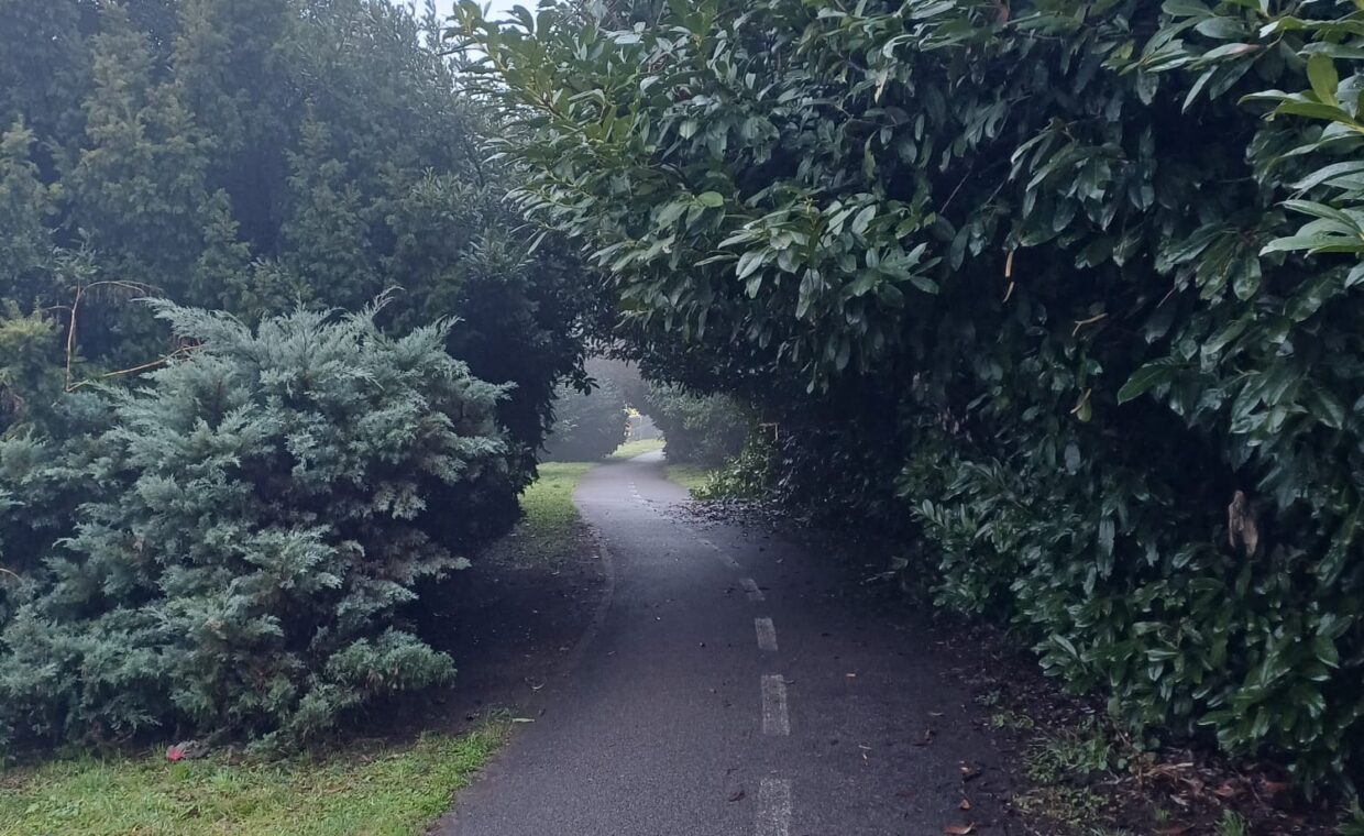 Pista ciclabile via Magenta