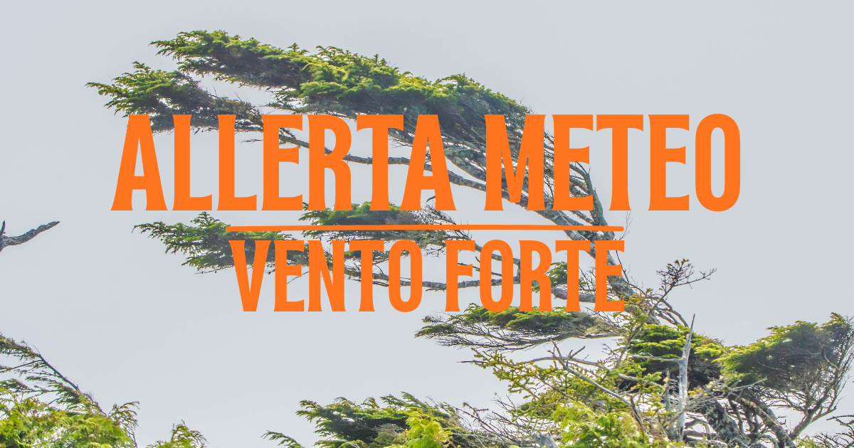 ALLERTA VENTO FORTE giovedì 26 marzo 2026 (2)