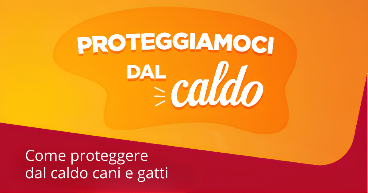 Come proteggere dal caldo cani e gatti