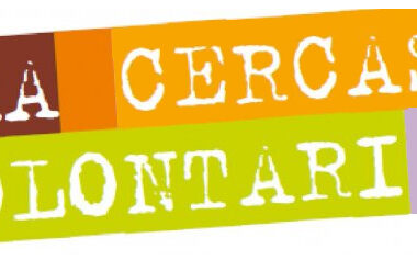 aaa.cercasi.volontari