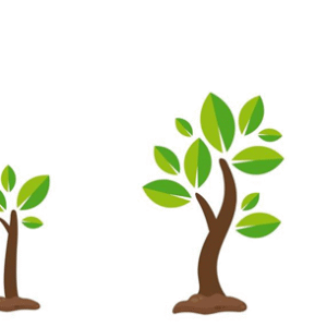 Alberi