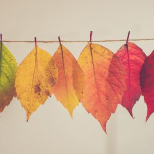 autunno-1170x658