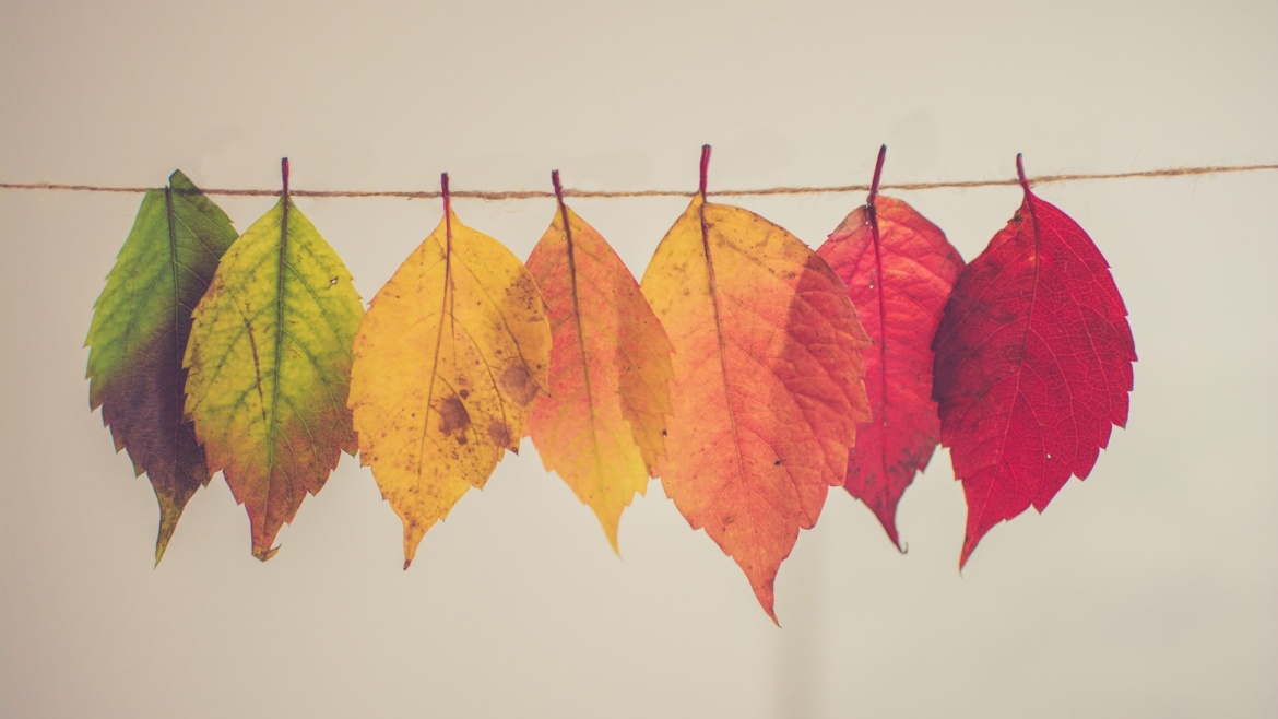 autunno-1170x658