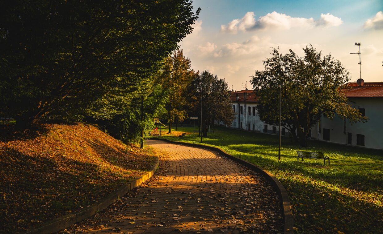 Cardano-al-Campo-foto-parco. jpg