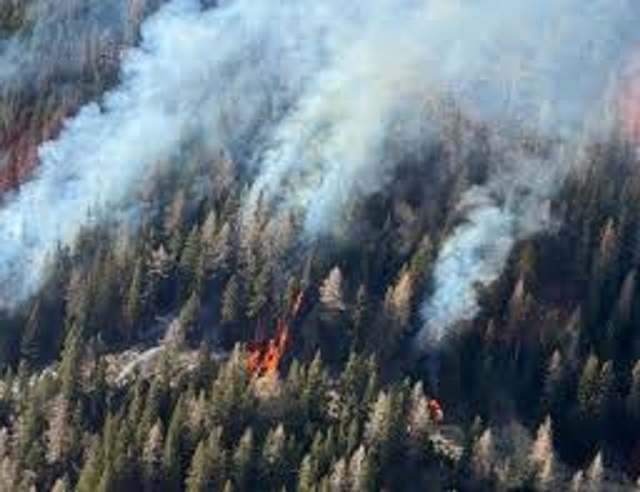 incendio boschivo