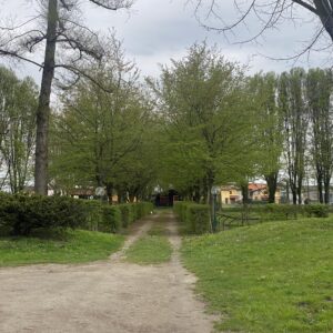 Vignone degli Arconati Visconti