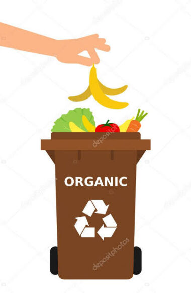 CESTINO ORGANICO
