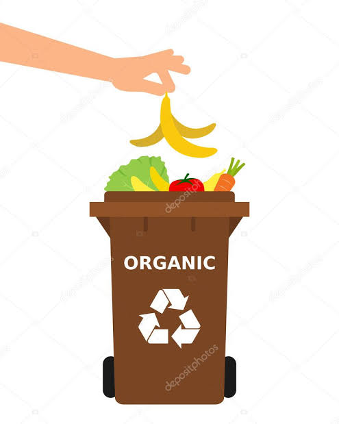 CESTINO ORGANICO