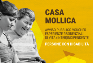 voucher-casa-mollica-disabilita-2025-300x204