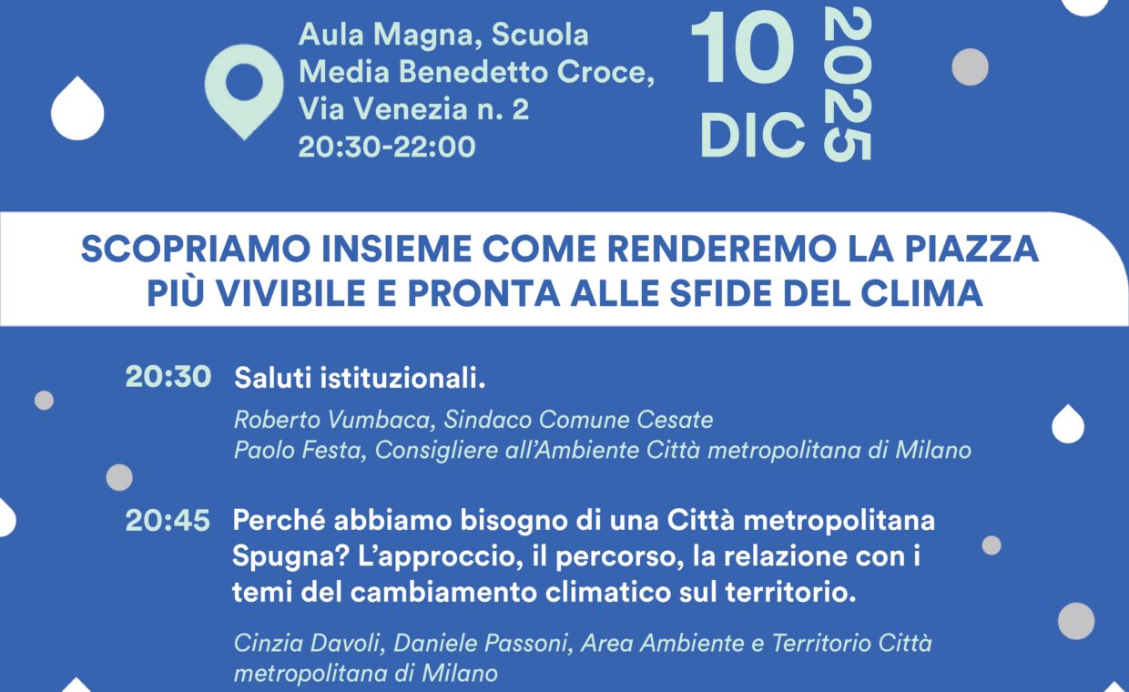 Manifesto Cesate p.zza IV Novembre_page-0001