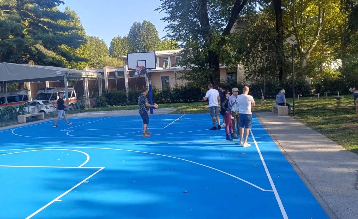 basket