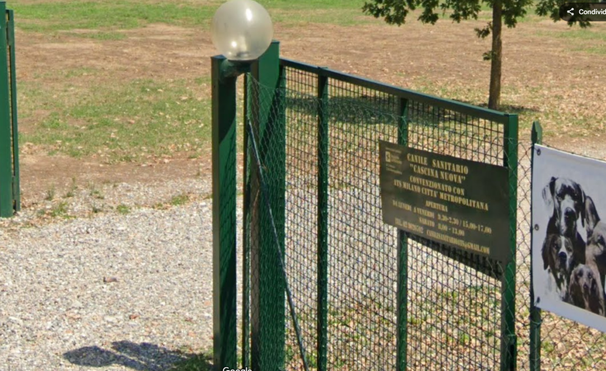 Canile sanitario Sedriano (2)