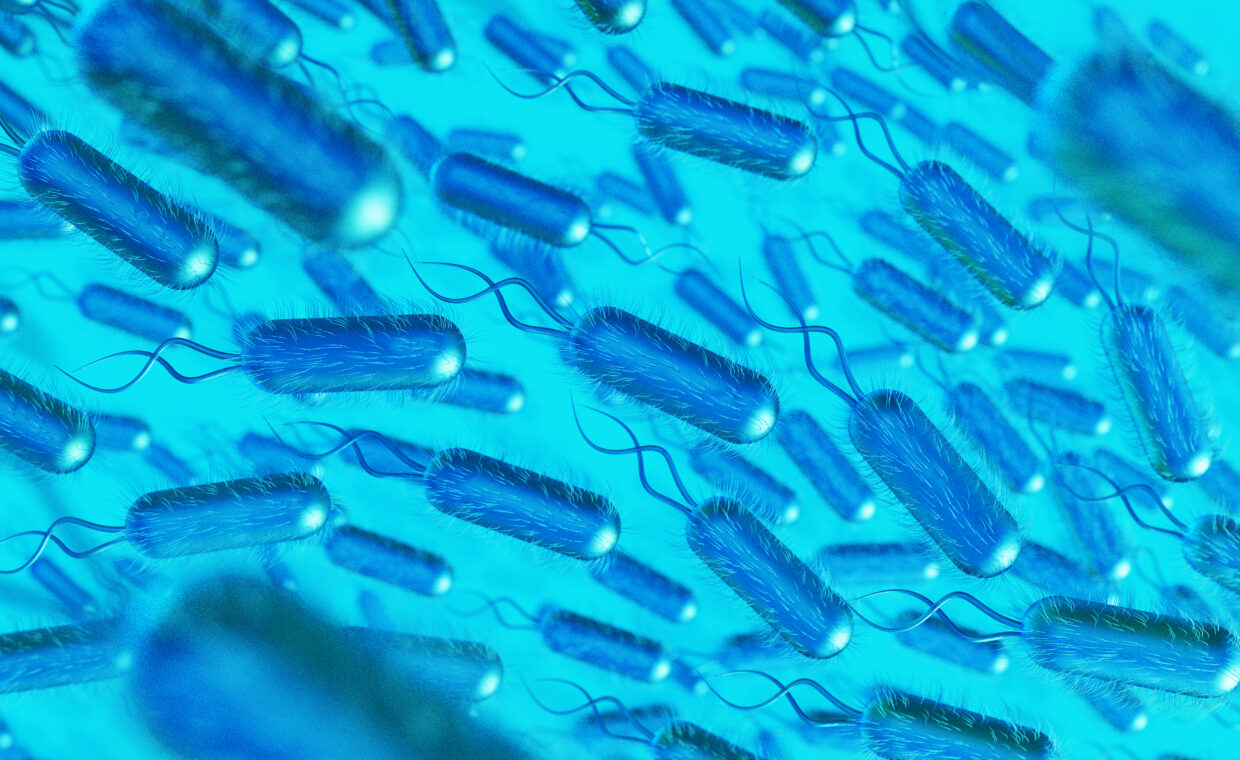 rappresentazione-3d-di-patogeni-microscopici