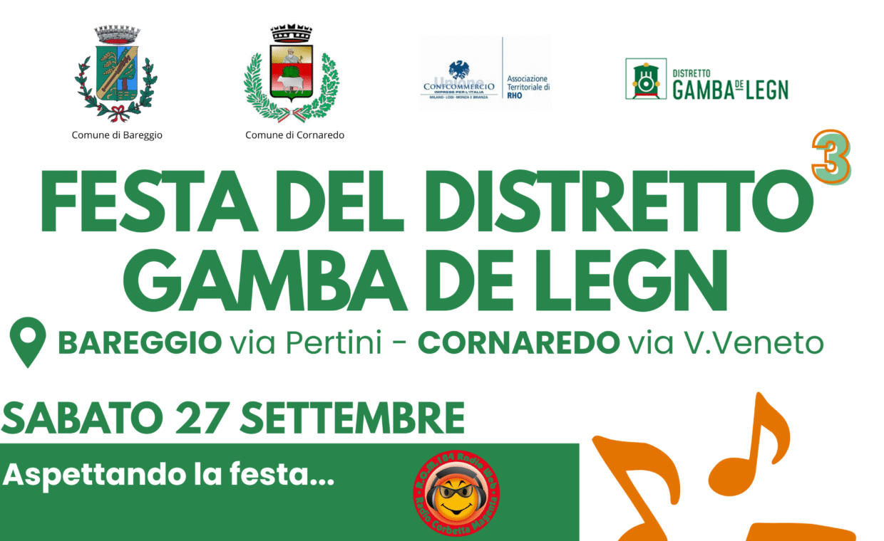 Festa del Distretto