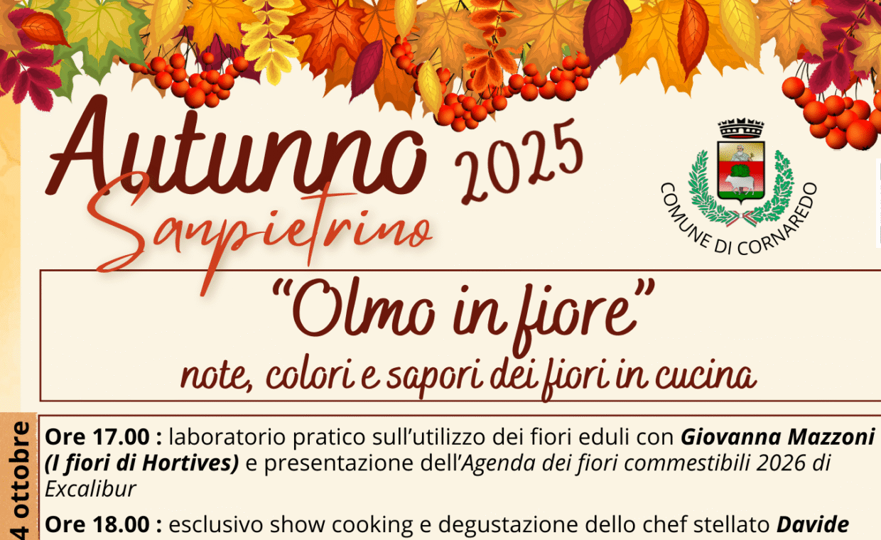 dettaglio autunno