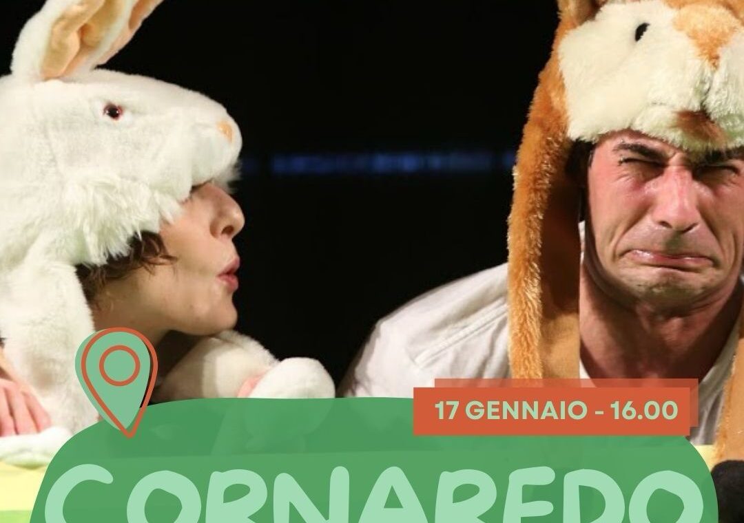 WhatsApp Image 2026-01-14 at 11.52.41