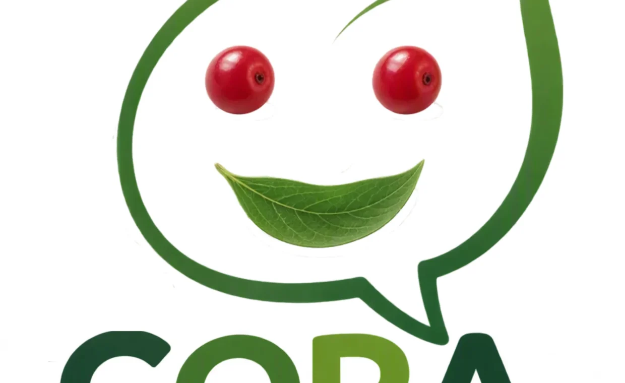 LOGO e Name