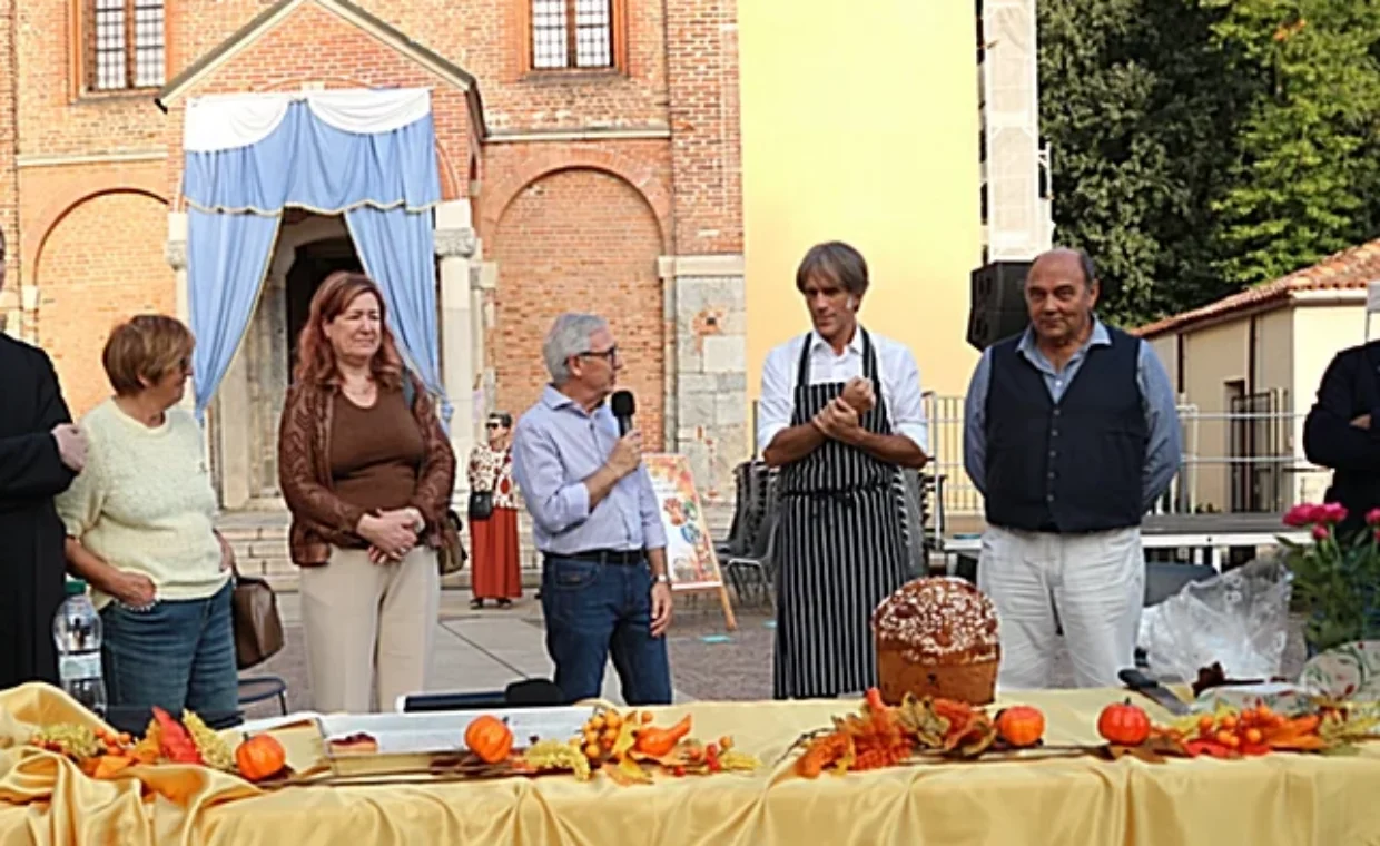olmo-pane-2-7