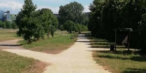 foto travaglia