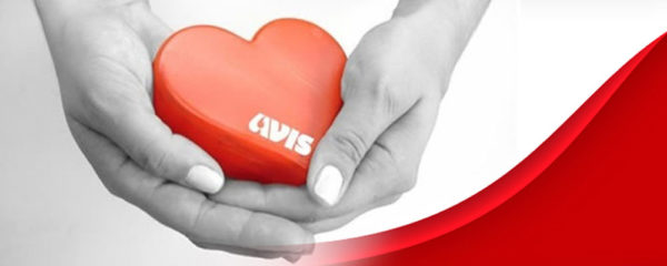 avis1