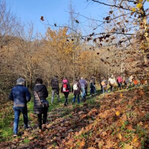 Cammina-foreste-urbane-2022-escursione-300x300-1