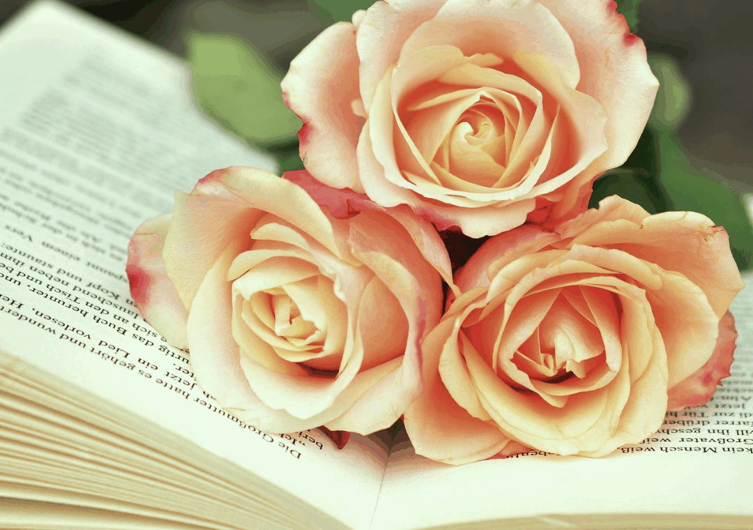 Giornata libro