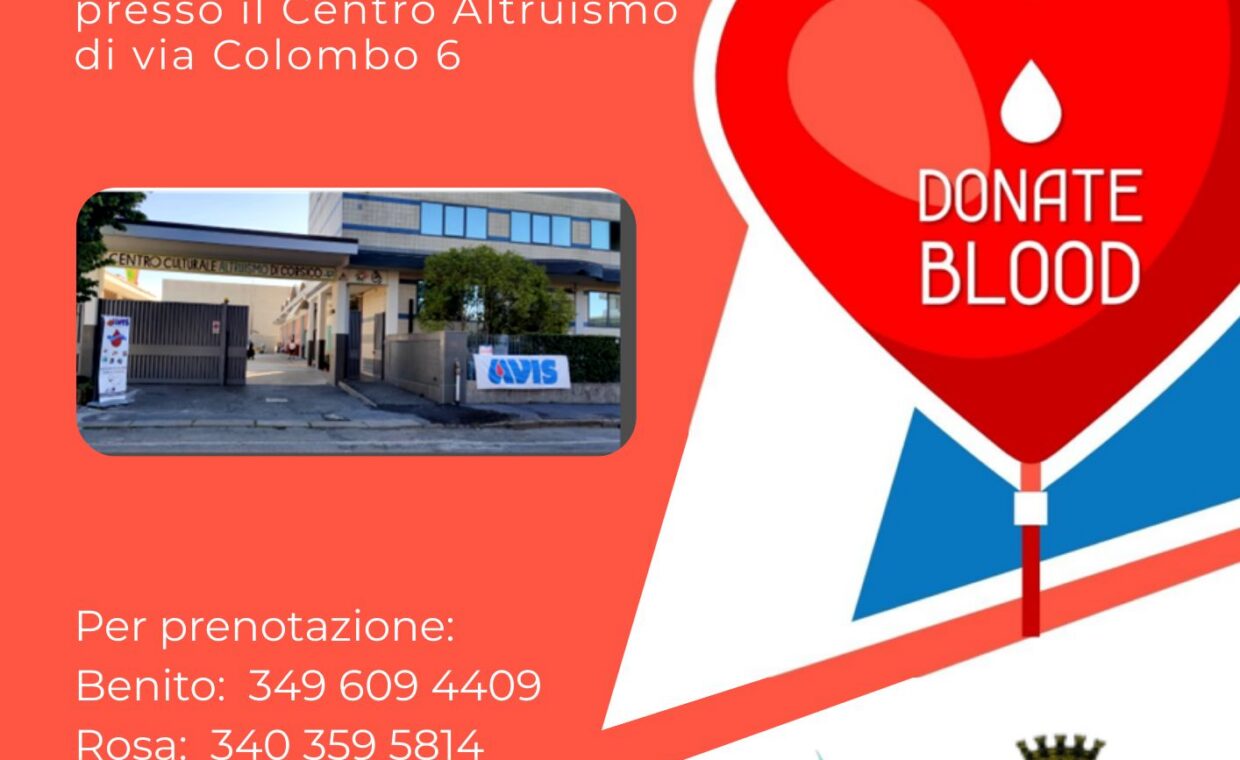 LOCANDINA AVIS