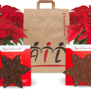 gruppo_v3_stelle_AILRoma