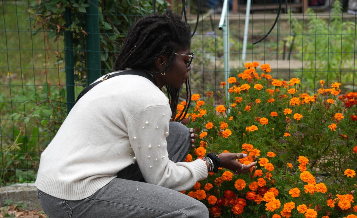 diversamente orto fiori