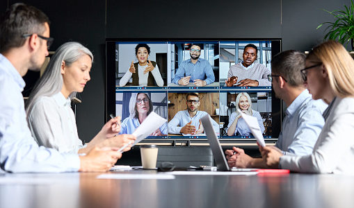 commissione in videoconferenza