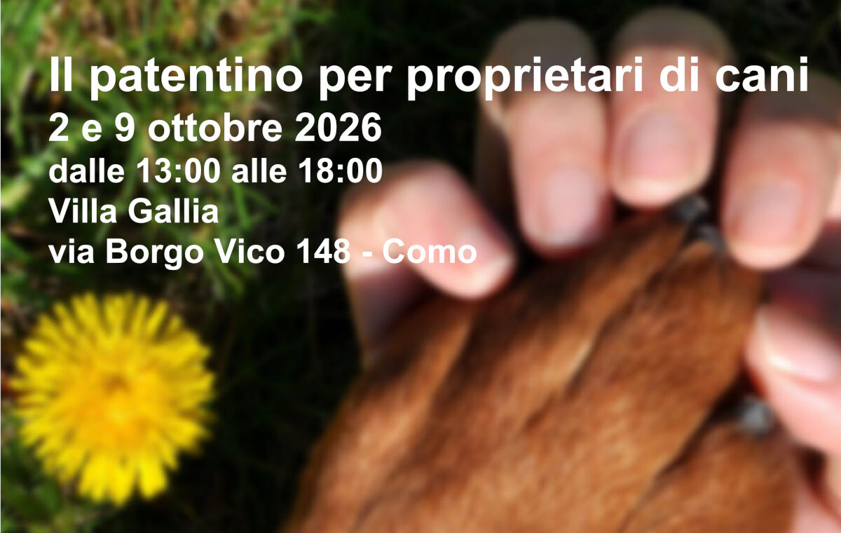 patentino cani