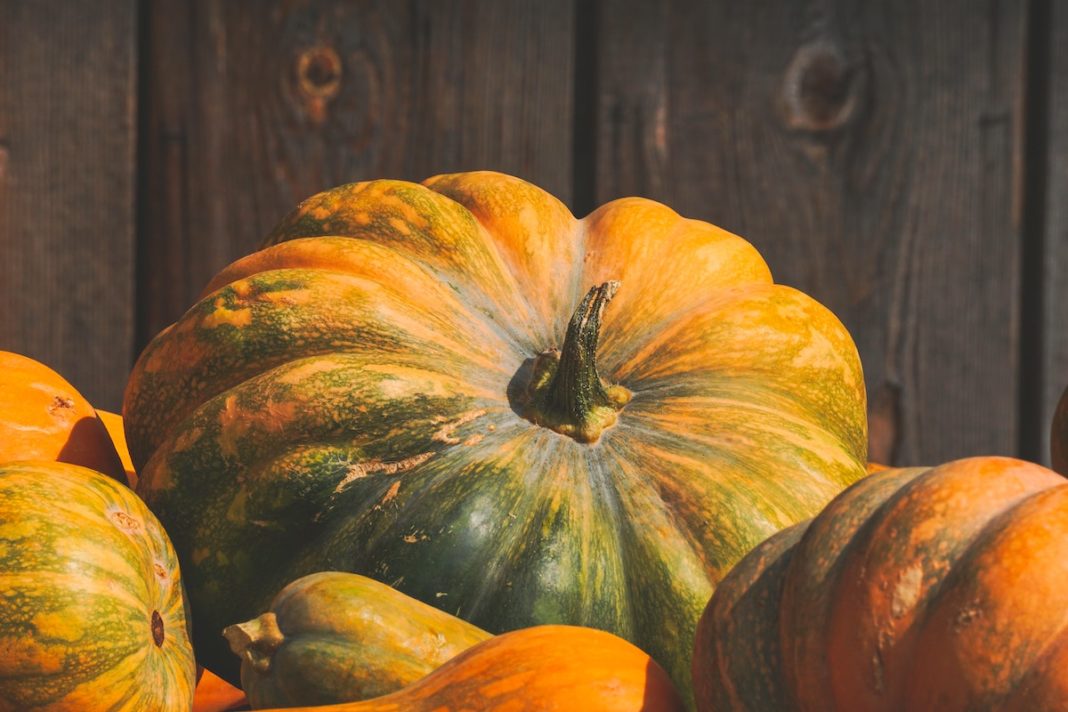 zucca-mantovana-e-zucca-provenzale-1068x712