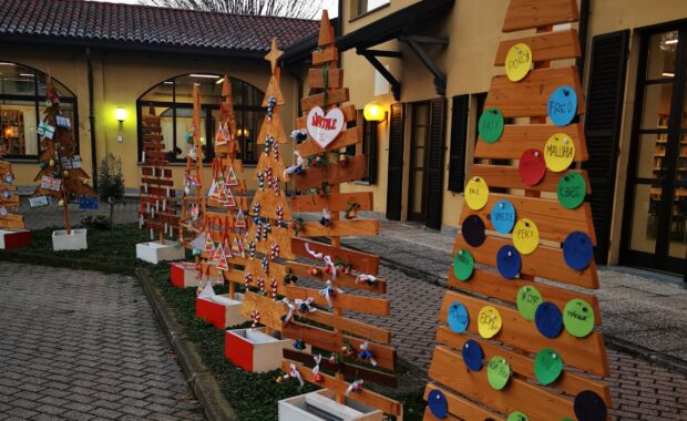 Foto degli Alberi di Natale addobbati in Corte Valenti