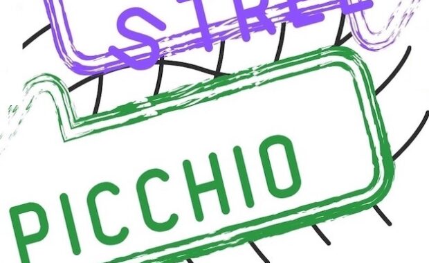 Logo dell'iniziativa, con la scritta "Street Picchio" in viola e in verde