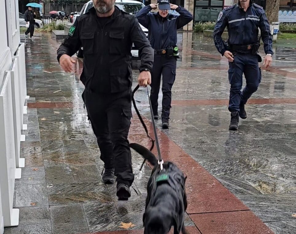 Foto di un intervento del Progetto Groane, con i cani antidroga