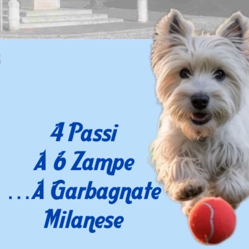 Cane con una pallina