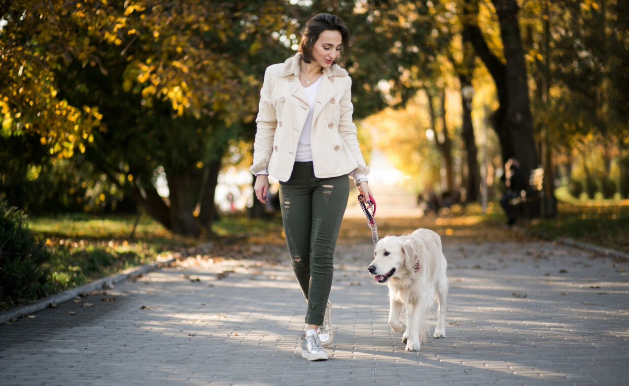 Una ragazza a passeggio con il proprio cane