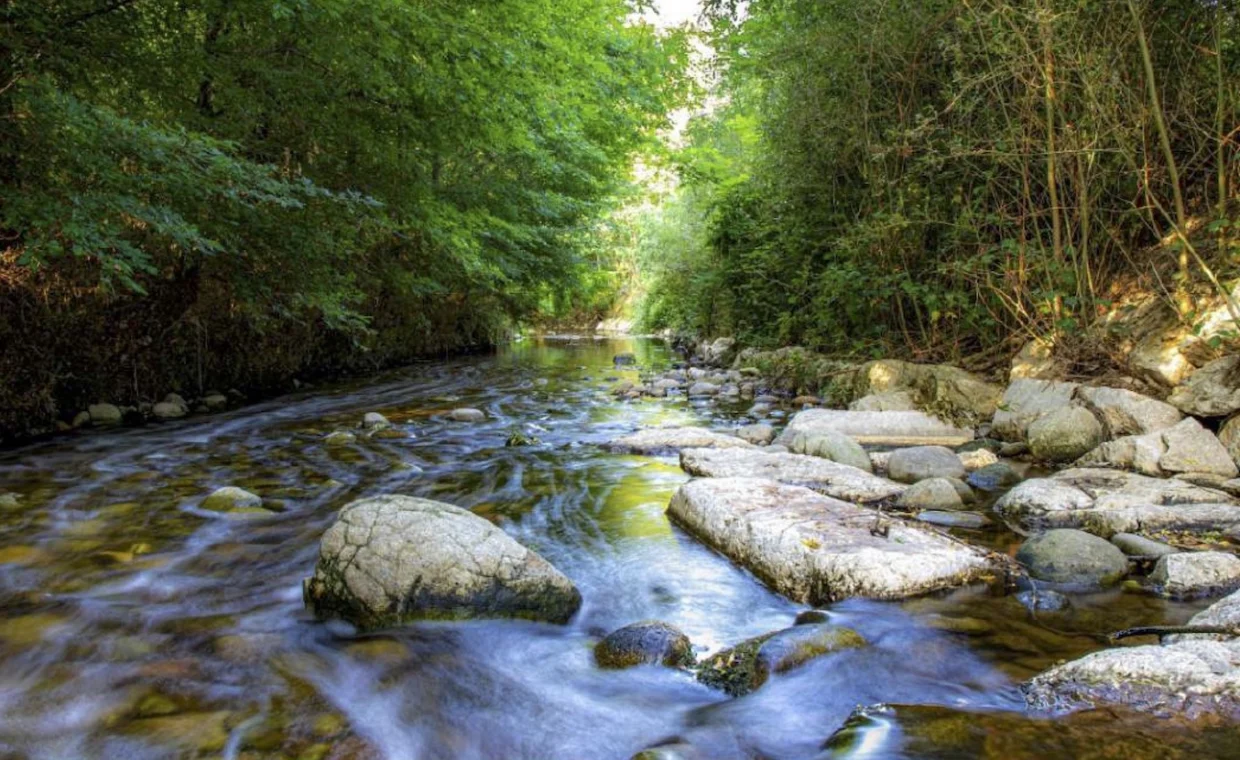Torrente nel Parco Lura
