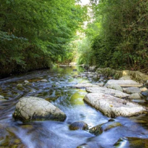 Torrente nel Parco Lura