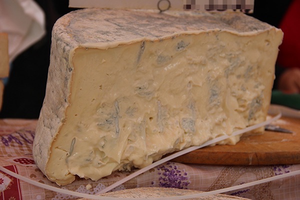 formaggio gorgonzola