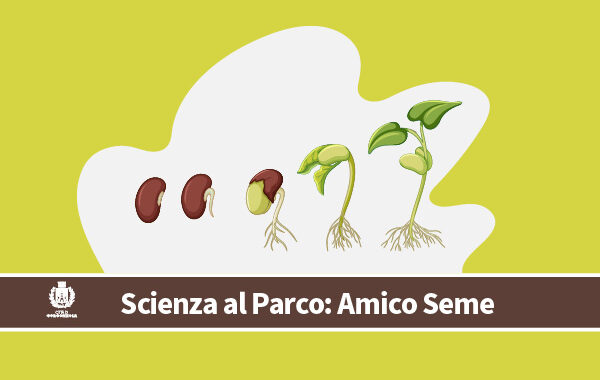 amico_seme_2024