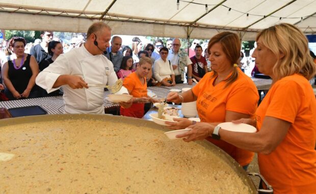 Risotto del Re alla sagra nazionale del gorgonzola DOP 2024
