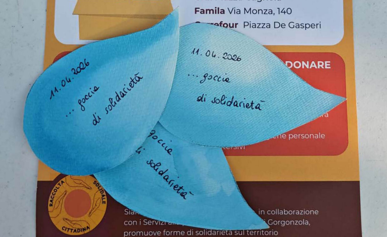 resoconto_raccolta_solidale_2026