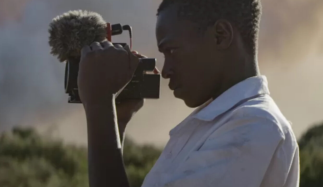 searching for amani