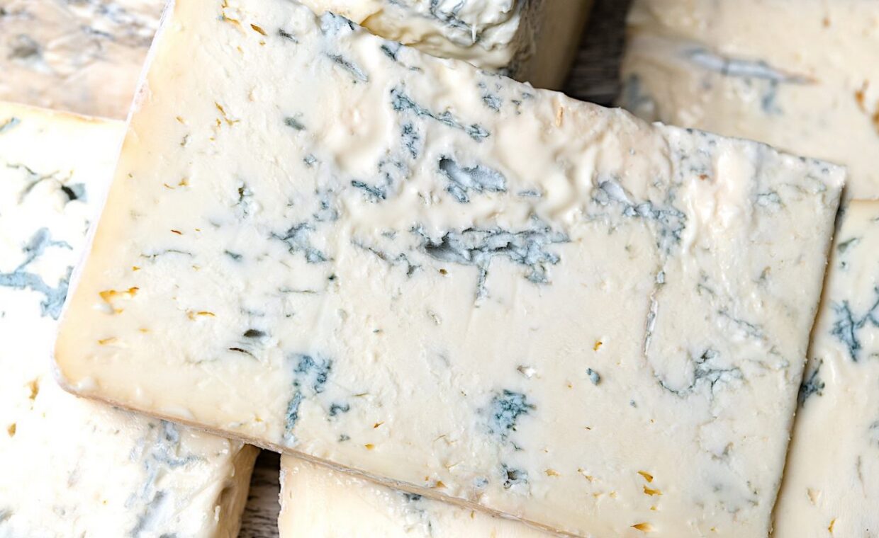 gorgonzola-muffa