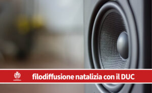 cassa di diffusione sonora