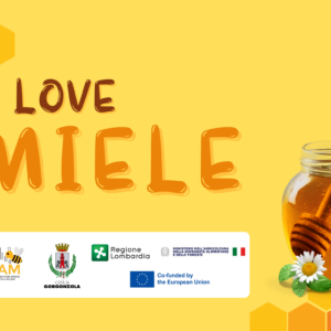 I love miele cover