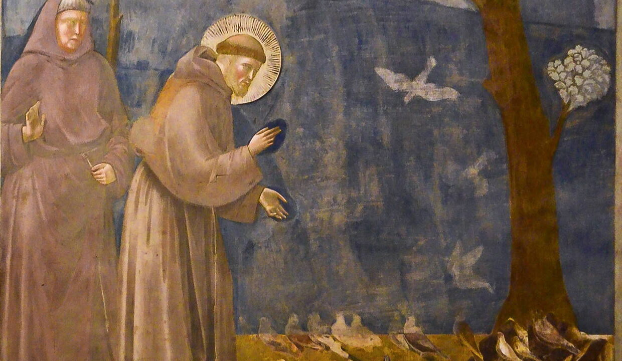 Affresco Giotto - S. Francesco predica agli uccelli