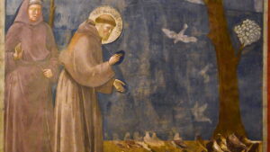 Affresco Giotto - S. Francesco predica agli uccelli