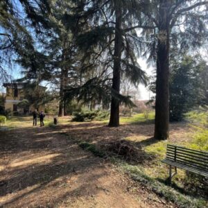 Parco Villa Perani